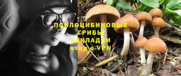спайс Абаза