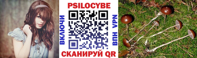 Псилоцибиновые грибы ЛСД Кисловодск